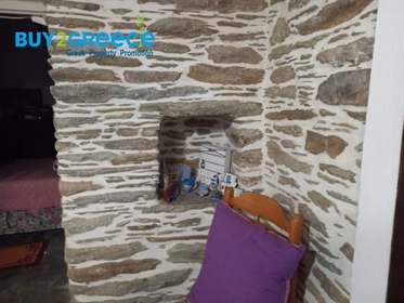 (For Sale) Residential Detached house || Cyclades/Andros Cho...