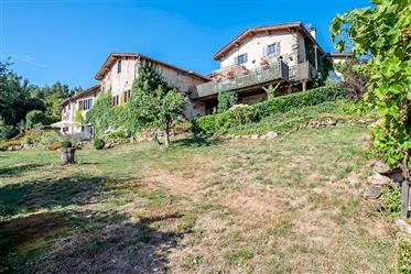 Renovated farmhouse with detached guesthouse and large swimm...