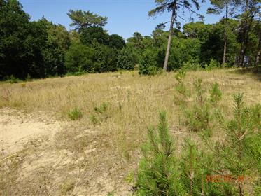 12 New Houses T3 In The Forest 4Km From Hardelot-Beach to 62152 Neufchatel Hardelot (France)