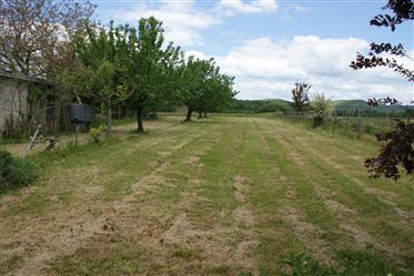 Property comprising 2 houses, garages and outbuilding on 9958 m² of land. Good location.