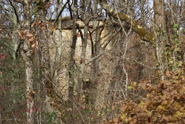 Terreno: 10.040 m²