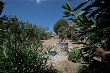 Terratetto toscano in pietra con giardino, ulivi, appartamento per gli ospiti in Maremma