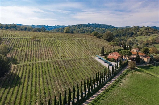 22 Bedrooms - Vineyards and wineries - Florence Province - For Sale