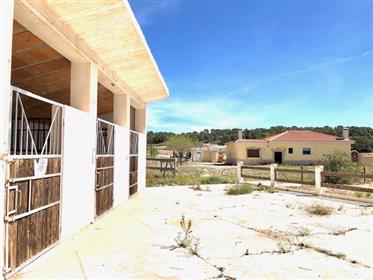 A solid finca with horse stables for the creative investor.