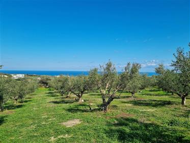 Buildable large plot in Kastellakia, Rethymno