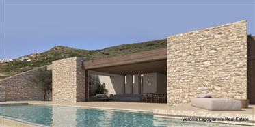 Stelida Naxos/Seaside villas from 165 m2