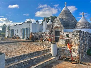 For sale trulli and lamie with swimming pool and land