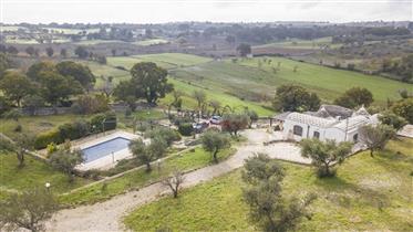 Beautiful complex of Trulli, Cummerse and Lamie for sale
