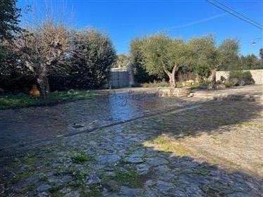 Ancient “Neviera” for sale