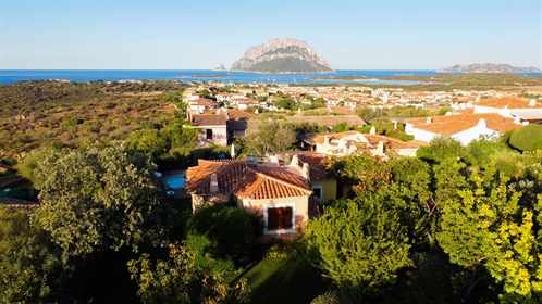 &Nbsp Charming villa of 300 sqm on the
hill of Monte Contros overlooking the sea of Tavol