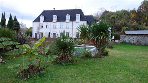 Pau Sud - Magnificent Chateau In Excellent State On 6 Ha Of Land