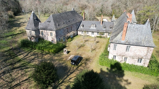Brive region - beautiful Xvi, Xvii and XIXth century castle in good condition with outbuildings on a
