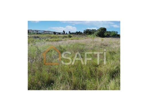 Land in Lavos with 2.15 hectares