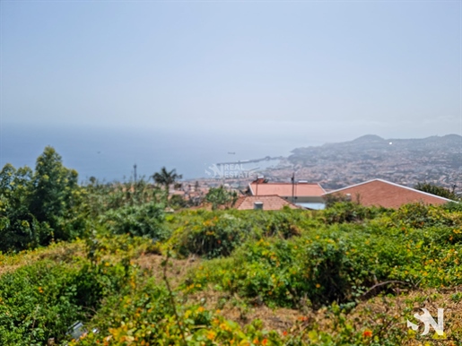 Terreno para construção de moradias