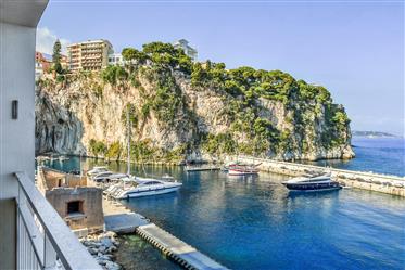Estudio renovado en Mónaco con vistas al mar - Fontvieille