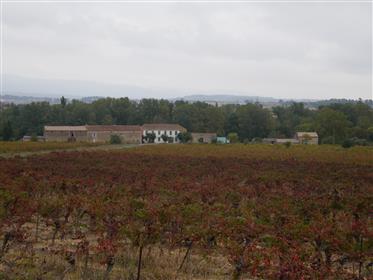 Domaine viticole de 42 ha dont 28 ha de vignes Aop Minervois