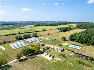 Casa: 425 m²