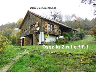 Dare the Zneff! Chalet of 2009, 119 m² of living space, on 1631m² of land, in a hamlet in cul de s