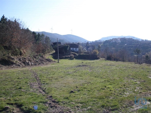 Farm In DOURO
Quinta in Cinfães with ruins for reconstruction with about 7 0000 m2 with 3