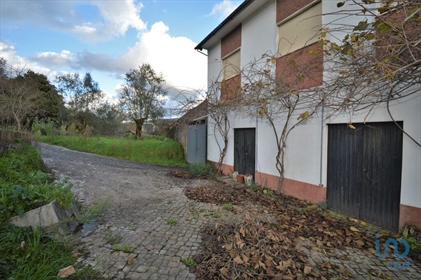 A farmhouse bordering the river, five minutes from Penela.
This property comprises a grou