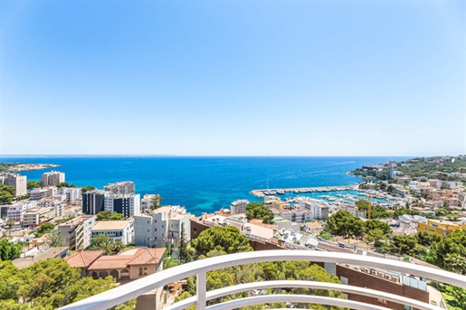 Renovated top penthouse with 360 degree views in San Augustin