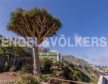 Finca in Taganana with ocean views 