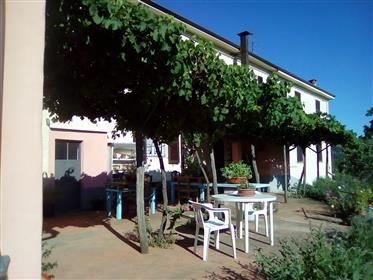 Farmhouse, Rustico for sale in Spigno Monferrato