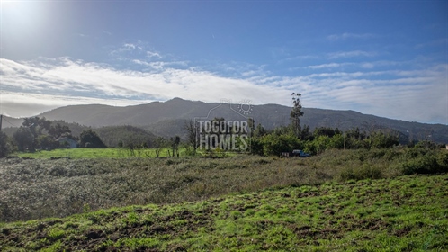 Terrain de campagne avec plans approuvés pour maison de 2 chambres près de la ville de Monchique