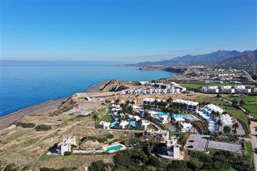 Seaside Project in Kyrenia Esentepe Area