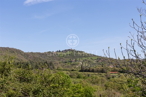 Forty hectares of land in the woods of Umbria and a stone farmhouse with some outbuildings
