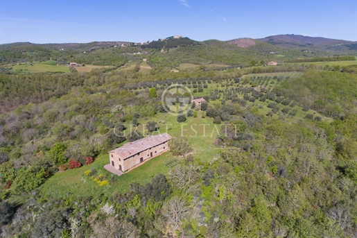In the Montegiove area, we offer an ancient farmhouse from the 1700s. The property is abou