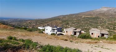 Prédio: 274 m²