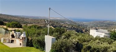 Prédio: 274 m²