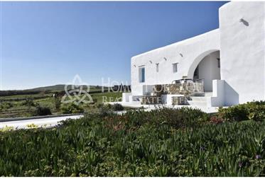 Fabulous Newly Built Villa For Sale On Paros