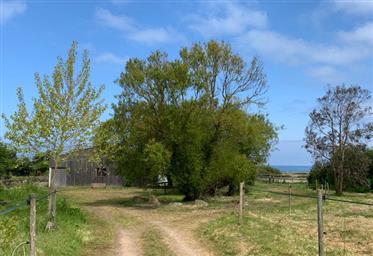 Ferme equestre Bord De Mer Normandie