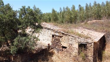 Propriedade rural tranquila com ruínas - Saboia - Odemira
