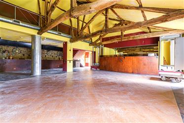 Olive oil mill, transformed into a ballroom, fully refurbished.