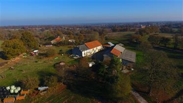 For Sale Haute-Vienne (87) Sheep, Equestrian And Herbage On A 64 Ha Sau