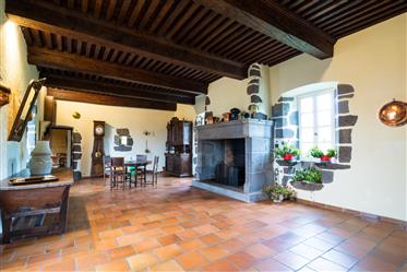 Castle / + Barn 600 m² / 1.7 Hectares