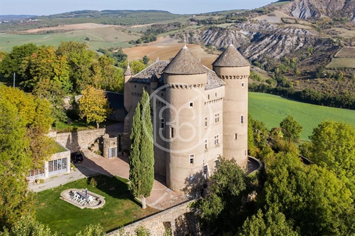 Imposant Chateau Xiveme - Vue Magnifique