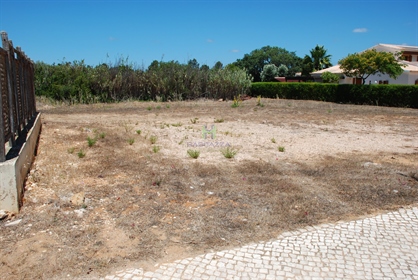 Terreno para construção de Moradia Independente, em Barão de S. Miguel