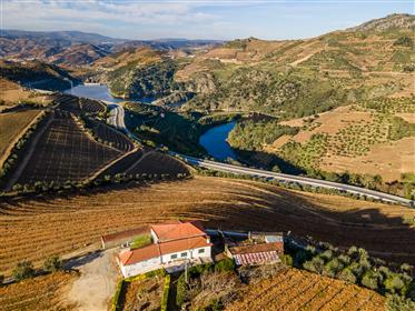 Quinta in the Douro Valley