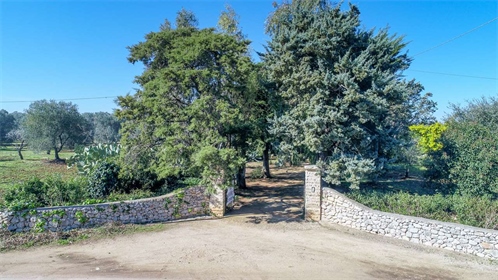 Country villa for sale, 1 km from Carovigno