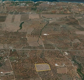 Plot of land Masciarella