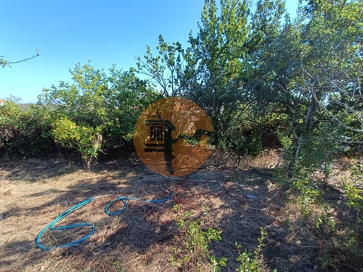 Grundstück Mit Armazem Mit 1480 M2 - Agua - Bor - Montinho Dos Balurcos In Alcoutim - Algarve