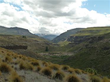 Patagonia property