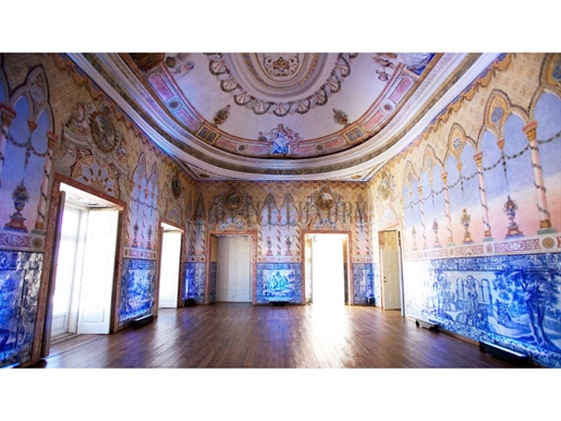 Come discover one of the most beautiful palaces in Lisbon, unique for the grandeur and ric