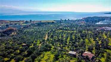 Plot in Petalidi with great view - 15.000sq.m.