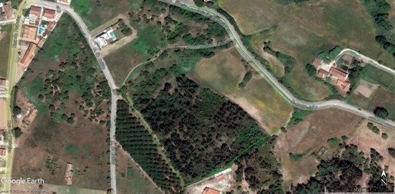 Terrain situé dans la municipalité de Cartaxo, à la périphérie de la limite urbaine de Pon