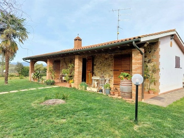 In place La Castellaccia in Gavorrano This small farm of about 8.5 hectares with an outbui